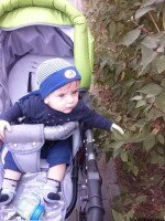 Развивающие игры от 6 месяцев до 1,5 лет