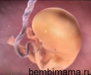 Календарь беременности десять недель