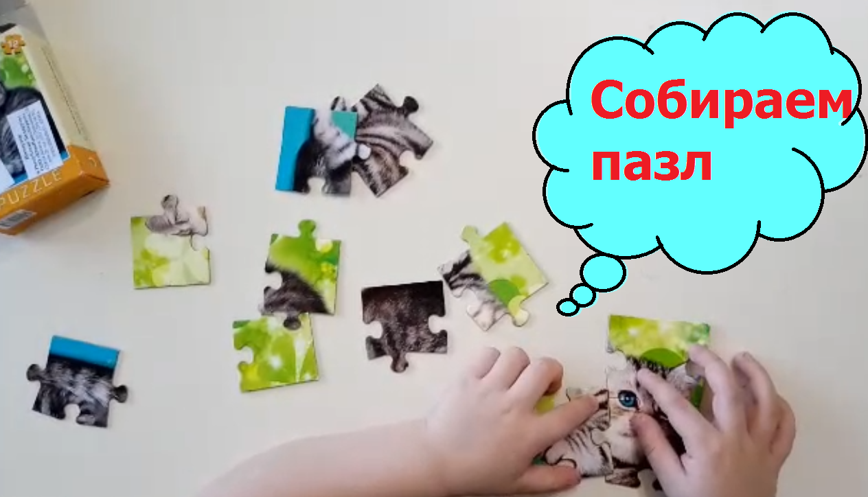 Sobrat detskiy pazzle